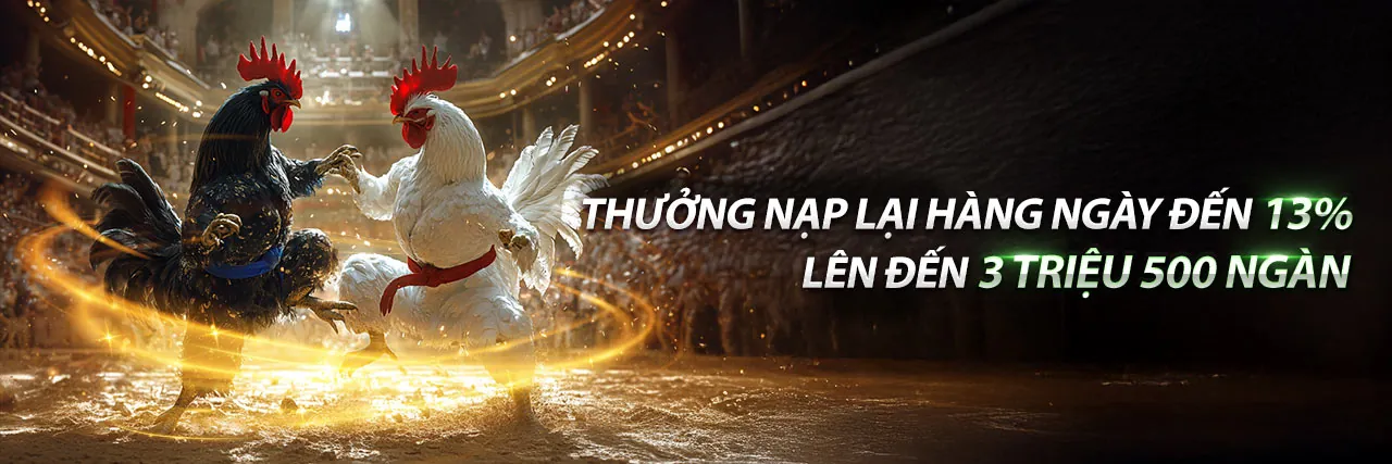 Đá Gà Trực Tuyến 7clubs App Android